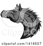 Poster, Art Print Of Tough Gray Horse Head