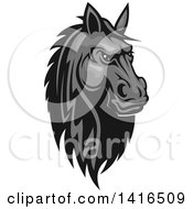 Poster, Art Print Of Tough Gray Horse Head