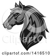 Poster, Art Print Of Tough Gray Horse Head