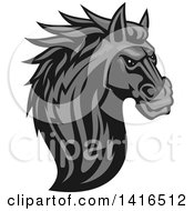 Poster, Art Print Of Tough Gray Horse Head