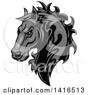 Poster, Art Print Of Tough Gray Horse Head