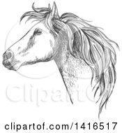 Poster, Art Print Of Gray Sketched Horse Head