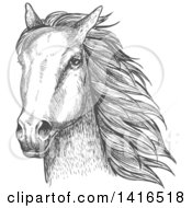 Poster, Art Print Of Gray Sketched Horse Head