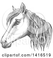 Poster, Art Print Of Gray Sketched Horse Head