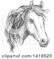 Poster, Art Print Of Gray Sketched Horse Head