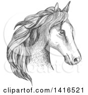 Poster, Art Print Of Gray Sketched Horse Head