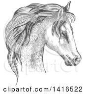 Poster, Art Print Of Gray Sketched Horse Head