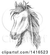 Poster, Art Print Of Gray Sketched Horse Head