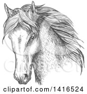 Poster, Art Print Of Gray Sketched Horse Head