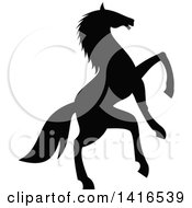 Poster, Art Print Of Black Silhouetted Rearing Horse