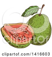 Sketched Guava
