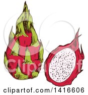 Poster, Art Print Of Sketched Dragon Fruit
