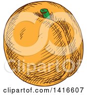 Clipart Of A Sketched Apricot Peach Or Nectarine Royalty Free Vector Illustration by Vector Tradition SM