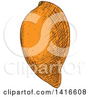 Clipart Of A Sketched Mango Royalty Free Vector Illustration