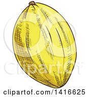 Clipart Of A Sketched Melon Royalty Free Vector Illustration
