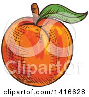 Poster, Art Print Of Sketched Apricot Peach Or Nectarine
