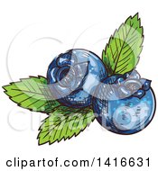 Clipart Of Sketched Blueberries Royalty Free Vector Illustration