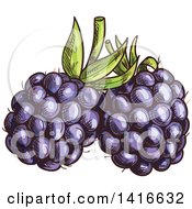 Clipart Of Sketched Blackberries Royalty Free Vector Illustration by Vector Tradition SM
