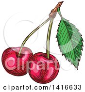Clipart Of Sketched Cherries Royalty Free Vector Illustration