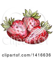 Clipart Of Sketched Strawberries Royalty Free Vector Illustration by Vector Tradition SM