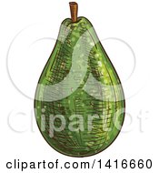 Poster, Art Print Of Sketched Avocado