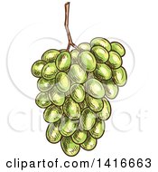 Poster, Art Print Of Sketched Bunch Of Grapes