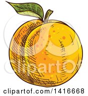 Poster, Art Print Of Sketched Apricot Peach Or Nectarine