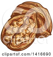 Clipart Of Sketched Walnuts Royalty Free Vector Illustration