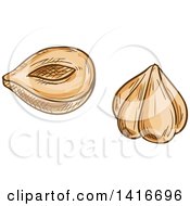 Clipart Of Sketched Hazelnuts Royalty Free Vector Illustration by Vector Tradition SM
