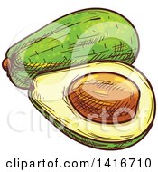 Clipart Of A Sketched Avocado Royalty Free Vector Illustration