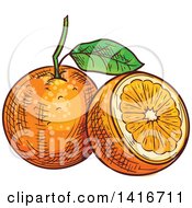 Clipart Of A Sketched Navel Orange Royalty Free Vector Illustration by Vector Tradition SM