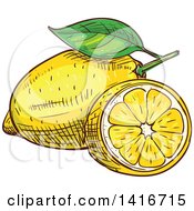 Clipart Of A Sketched Lemon Royalty Free Vector Illustration