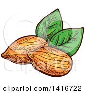Clipart Of Sketched Almonds Royalty Free Vector Illustration