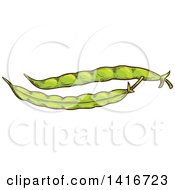 Clipart Of Sketched Beans Royalty Free Vector Illustration by Vector Tradition SM