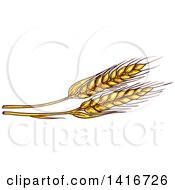 Poster, Art Print Of Sketched Wheat