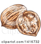 Clipart Of Sketched Walnuts Royalty Free Vector Illustration