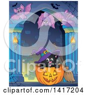 Poster, Art Print Of Witch Cat In A Halloween Pumpkin And Bats In A Hallway