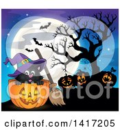 Poster, Art Print Of Halloween Witch Cat With Jackolanterns And Bats Against A Full Moon