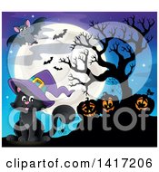 Poster, Art Print Of Halloween Witch Cat With Jackolanterns And Bats Against A Full Moon