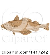 Poster, Art Print Of Sketched Atlantic Cod Fish