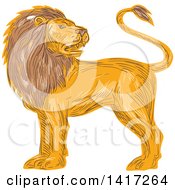 Poster, Art Print Of Sketched Male Lion Looking Back Over His Shoulder