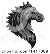 Poster, Art Print Of Tough Gray Horse Head