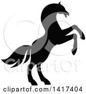 Poster, Art Print Of Black Silhouetted Rearing Horse