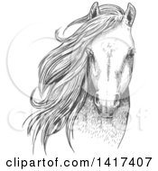 Poster, Art Print Of Sketched Gray Horse Head