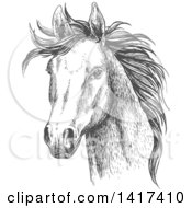 Poster, Art Print Of Sketched Gray Horse Head