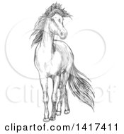 Poster, Art Print Of Sketched Gray Horse