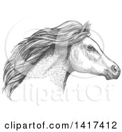 Poster, Art Print Of Sketched Gray Horse Head