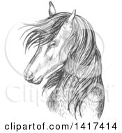 Poster, Art Print Of Sketched Gray Horse Head