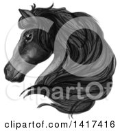 Poster, Art Print Of Sketched And Color Filled Black Horse Head