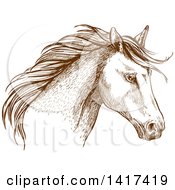 Poster, Art Print Of Sketched Brown Horse Head